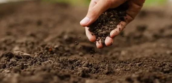 Análise de Solos e Fundações - Contratto