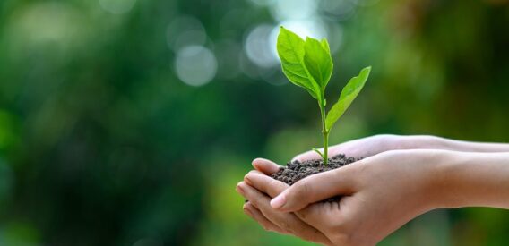 Avaliação de Impacto Ambiental (AIA) - Contratto